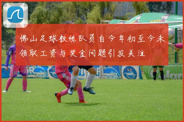 佛山足球教练队员自今年初至今未领取工资与奖金问题引发关注