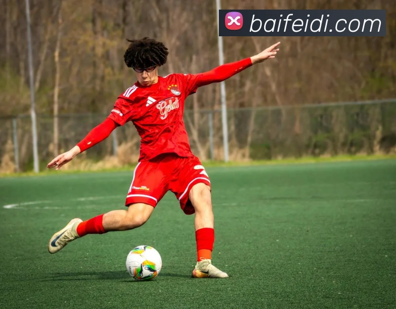 开云app服务体系